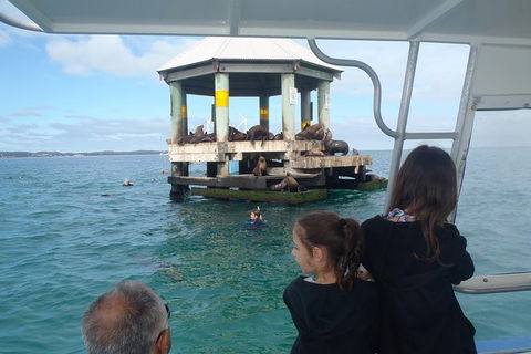 Sailing Cruise With Seals - Port Augusta Accommodation 0
