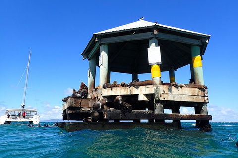 Sailing Cruise With Seals - Port Augusta Accommodation 1