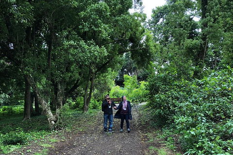 Alices Journeys Guided Walking Tours Of Daylesford - Port Augusta Accommodation 5