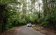 LGBT+ Friendly 3 Day Tour The Grampians, Daylesford & Ballarat - thumb 1