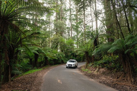 LGBT+ Friendly 3 Day Tour The Grampians, Daylesford & Ballarat - Port Augusta Accommodation 1
