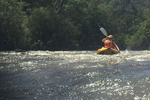 Yarra River Half-Day Rafting Experience - Port Augusta Accommodation 5