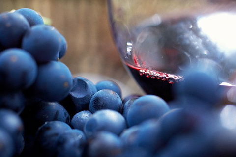 Mornington Peninsula 2-6 Guests Lunch Rare Hare Or Merricks General Wine Store - Port Augusta Accommodation 7