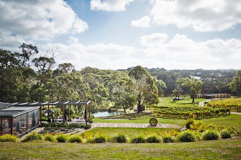 Mornington Peninsula 2-6 Guests Lunch Rare Hare Or Merricks General Wine Store - Port Augusta Accommodation 3