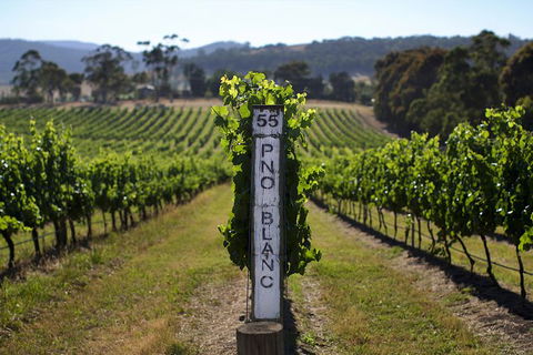 Mornington Peninsula 2-6 Guests Lunch Rare Hare Or Merricks General Wine Store - Port Augusta Accommodation 5