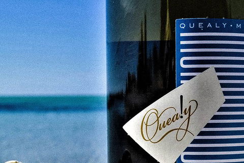 Mornington Peninsula 2-6 Guests Lunch And Inc Wine Tasting At Quealy Winemakers - Port Augusta Accommodation 0