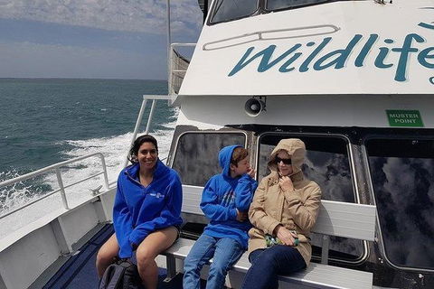 Phillip Island Penguin And Wildlife Tour - Port Augusta Accommodation 15