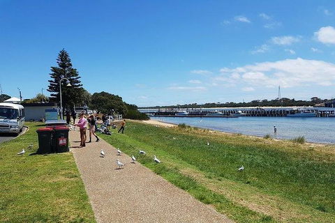 Phillip Island Penguin And Wildlife Tour - Port Augusta Accommodation 25