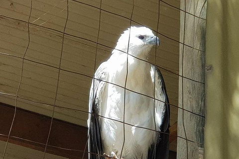Phillip Island Penguin And Wildlife Tour - Port Augusta Accommodation 21