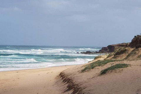 Phillip Island Penguin And Wildlife Tour - Port Augusta Accommodation 10
