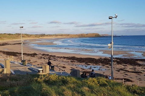 Phillip Island Penguin And Wildlife Tour - Port Augusta Accommodation 8