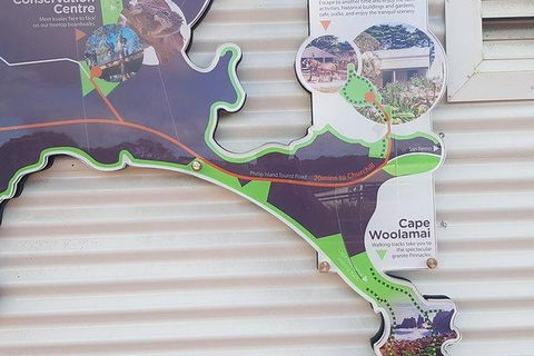 Phillip Island Penguin And Wildlife Tour - Port Augusta Accommodation 29