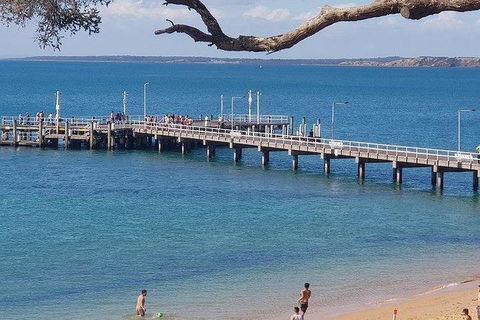 Phillip Island Penguin And Wildlife Tour - Port Augusta Accommodation 2
