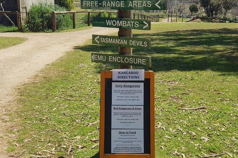 Phillip Island Penguin And Wildlife Tour - Port Augusta Accommodation 4