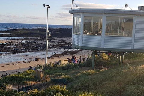 Phillip Island Penguin And Wildlife Tour - Port Augusta Accommodation 33
