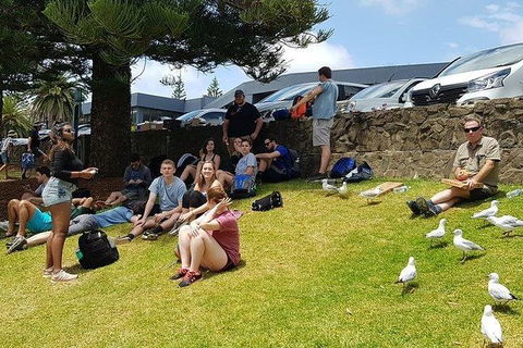 Phillip Island Penguin And Wildlife Tour - Port Augusta Accommodation 22