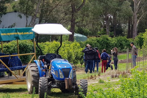Day Tour Of Yarra Valley Puffing Billy And Rayners Orchard - Port Augusta Accommodation 10