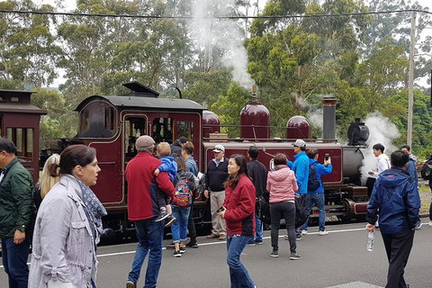 Day Tour Of Yarra Valley Puffing Billy And Rayners Orchard - Port Augusta Accommodation 4