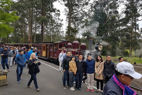 Day Tour Of Yarra Valley Puffing Billy And Rayners Orchard - Port Augusta Accommodation 9
