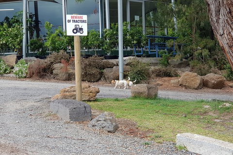 Day Tour Of Yarra Valley Puffing Billy And Rayners Orchard - Port Augusta Accommodation 2