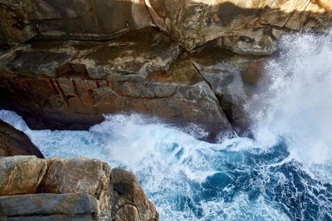 Discover Torndirrup National Park: The Gap & Natural Wonders Tour - Port Augusta Accommodation 4