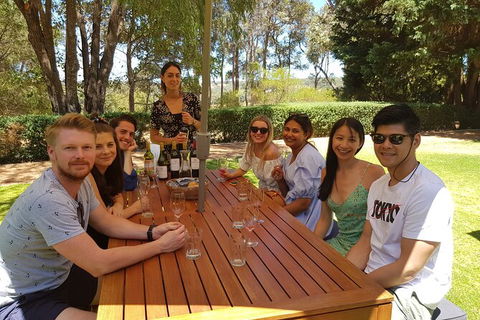 Full-Day Gourmet Wine Tour With Pick Up And Lunch - Port Augusta Accommodation 5