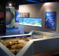 Marine and Freshwater Discovery Centre - Port Augusta Accommodation