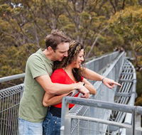 Valley of the Giants Tree Top Walk - Port Augusta Accommodation