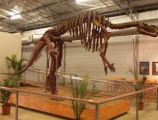 Australia's Dinosaur Trail - Port Augusta Accommodation 0