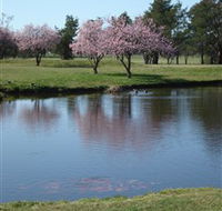 RMC Golf Club - Port Augusta Accommodation