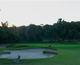 Anglesea Golf Club - Port Augusta Accommodation 8