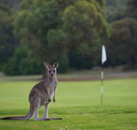 Anglesea Golf Club - Port Augusta Accommodation