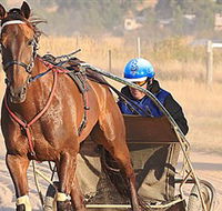 Ballarat  District Trotting Club - Port Augusta Accommodation