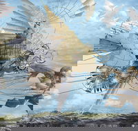 Dreams of Air and Flight - Port Augusta Accommodation