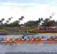 Jacaranda Dragon Boat Races - Port Augusta Accommodation