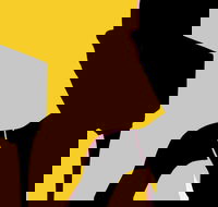 Naked Classics Fantastic Symphonies - Port Augusta Accommodation