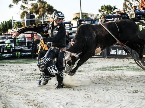 PBR Hawkesbury Stampede - Port Augusta Accommodation 2