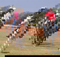 Pride of the West Races 2020 - Port Augusta Accommodation