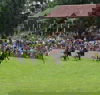 Tumut Derby Day - Port Augusta Accommodation