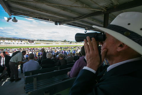 Albury Racing Club Boxing Day Races - Port Augusta Accommodation 1