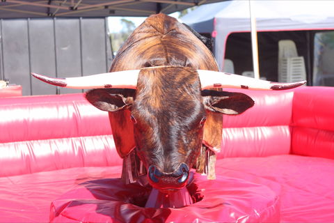 Gundaroo Music Festival - Port Augusta Accommodation 2
