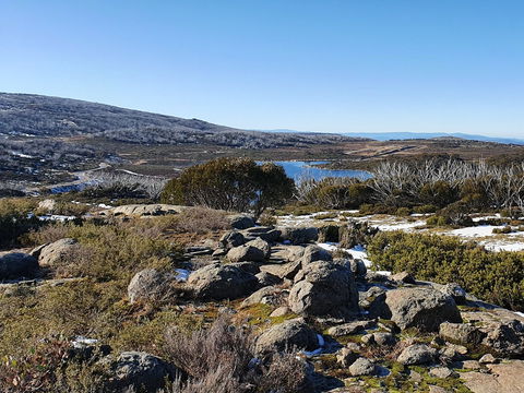 Hedonistic Hiking's Razorback To Harrietville - Port Augusta Accommodation 1