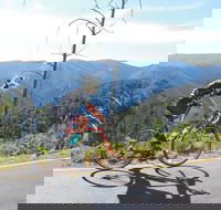 High Country Women's Cycling Festival - Port Augusta Accommodation