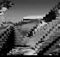 Music in the Gardens - Mitch King - Port Augusta Accommodation