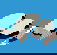 Petrenko's Shostakovich - Morning Symphony - Port Augusta Accommodation