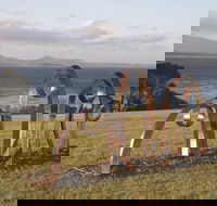 Sculpture Bermagui - Port Augusta Accommodation
