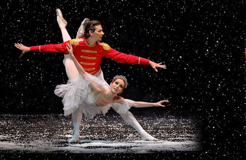 The Nutcracker And Don Quixote - Port Augusta Accommodation 0