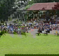 Tumut Boxing Day Races - Port Augusta Accommodation