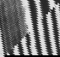 WA Now  Tom Mller Monolith Scores - Port Augusta Accommodation