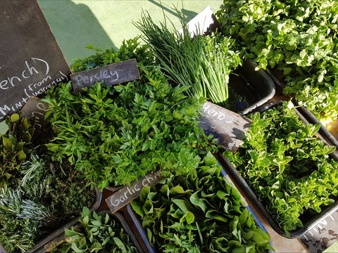 Carlton Farmers' Market - Port Augusta Accommodation 2